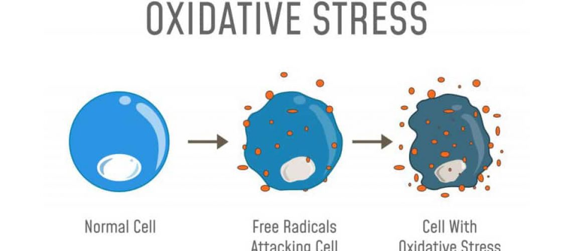stres oksydacyjny skóry